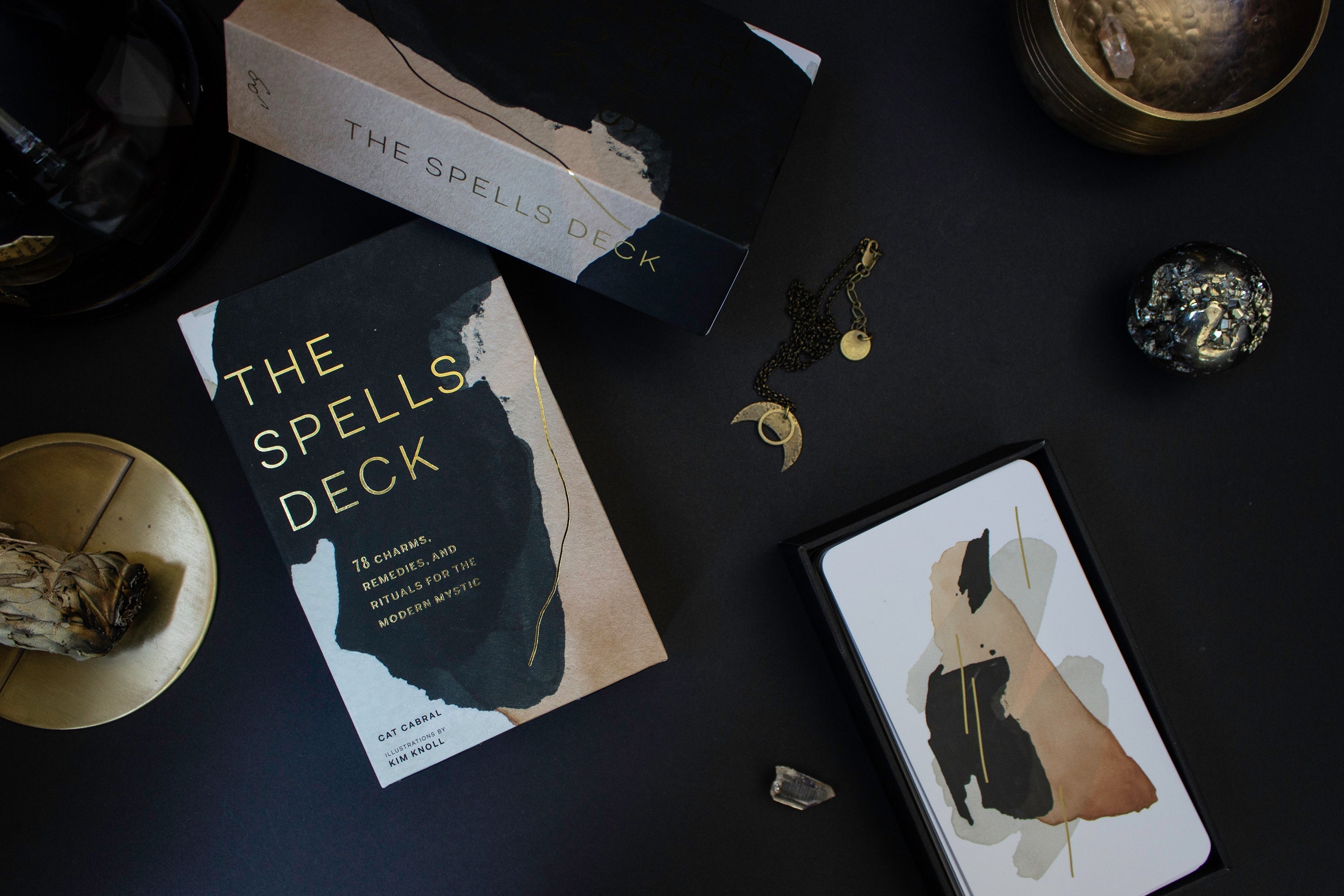 Kim Knoll x Chronicle Books