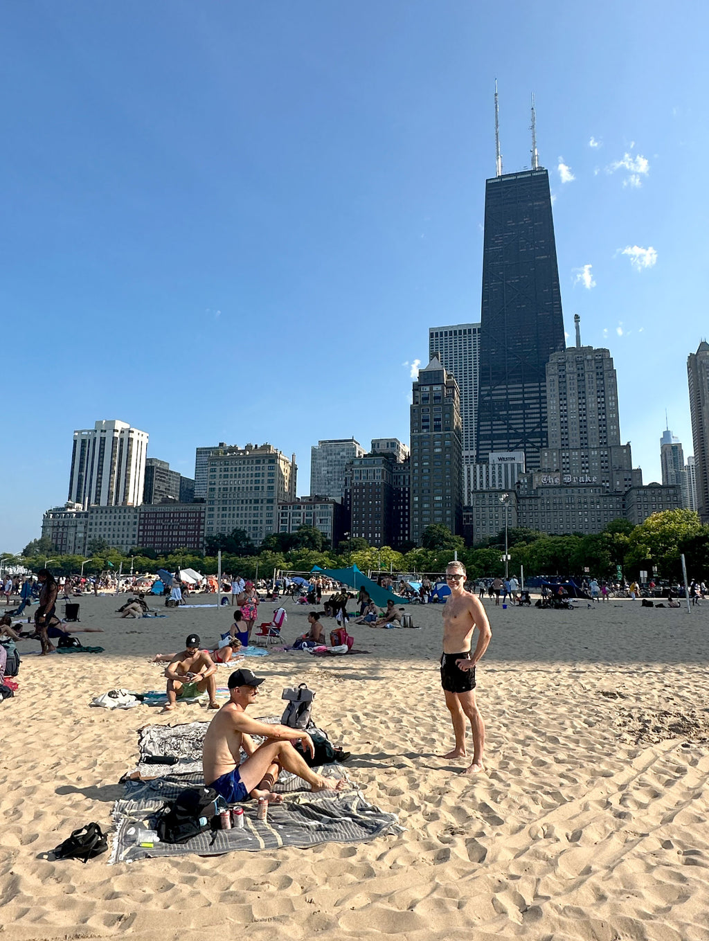 "Golden Shores II" Original Painting