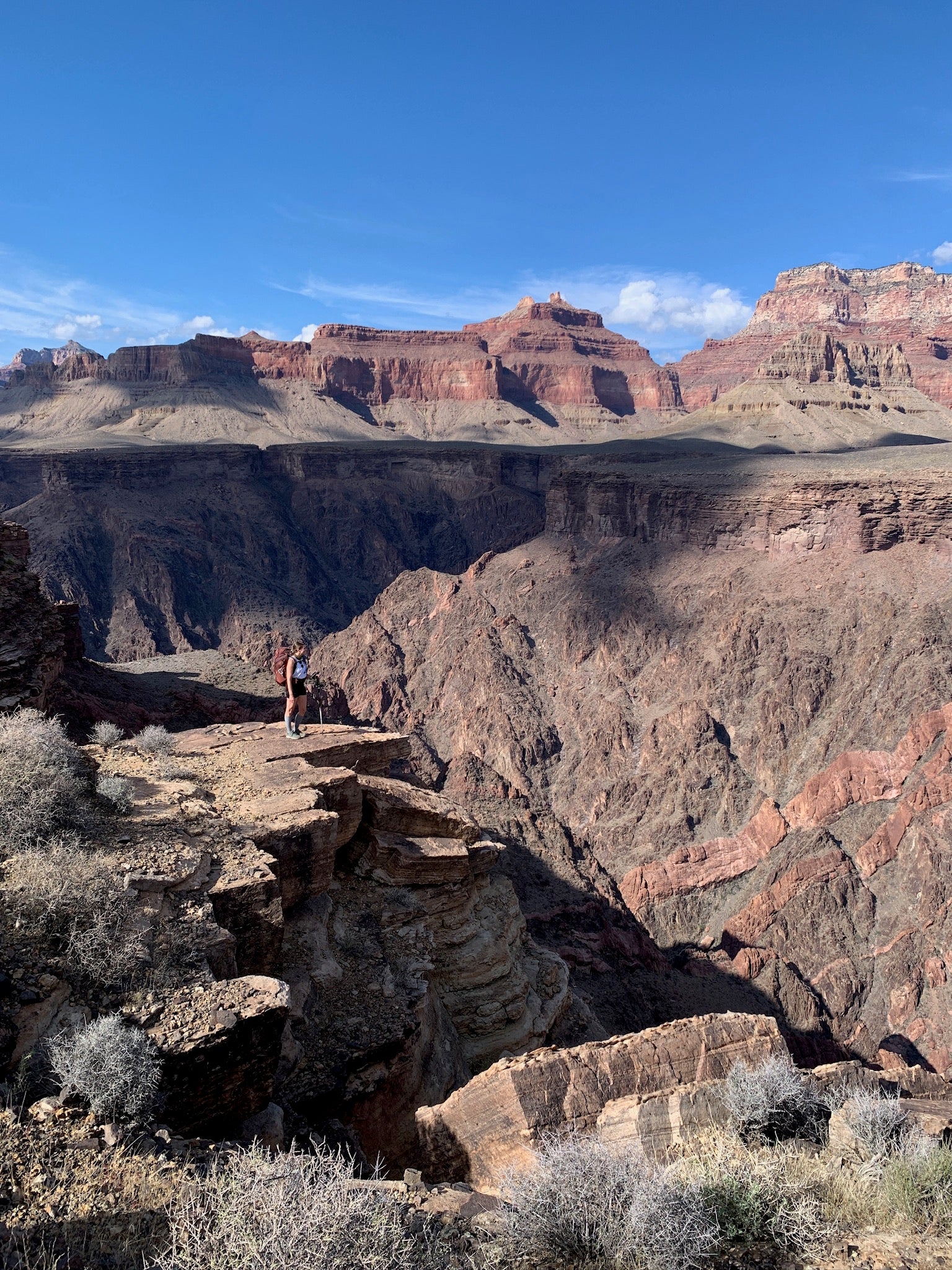 "Looking Outward" Original Painting