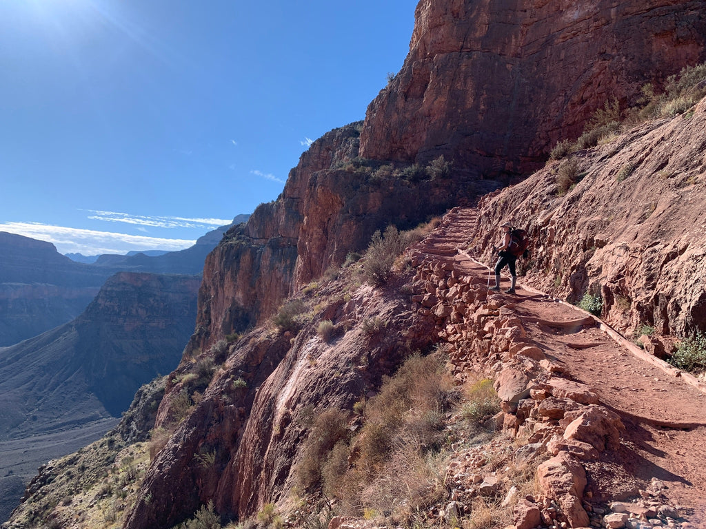 "Looking Outward" Original Painting