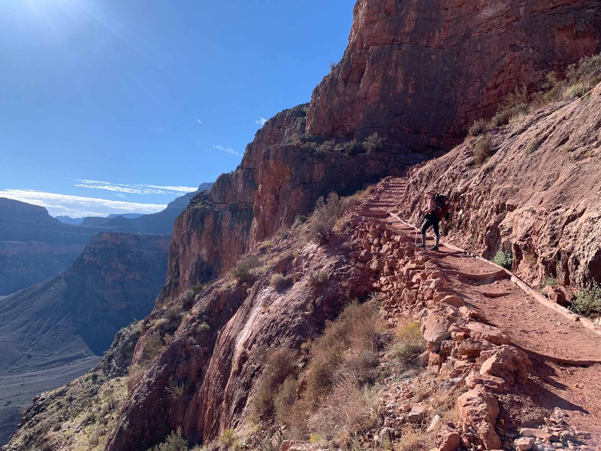 "Looking Outward" Original Painting